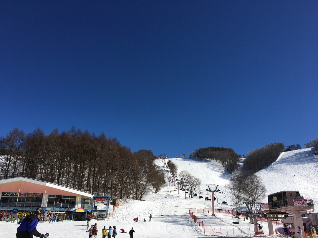 Minenohara Plateau Ski Resort景点图片