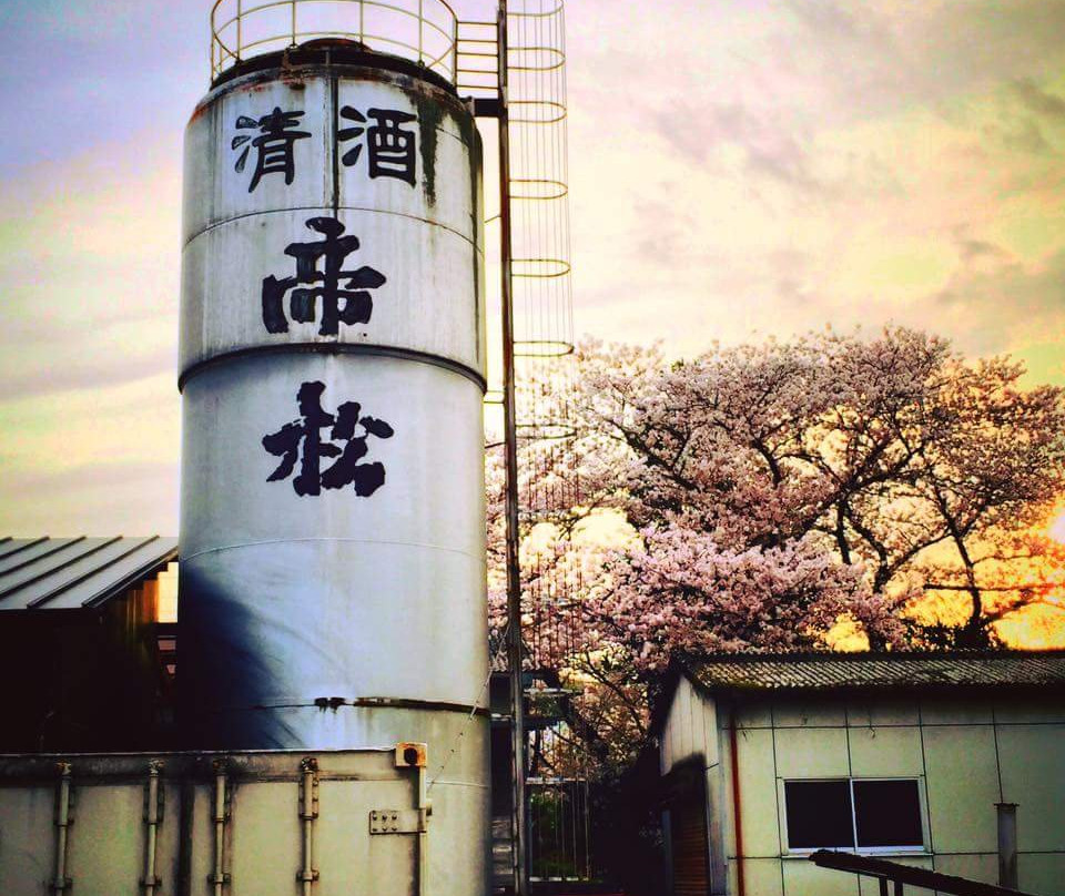 Matsuoka Brewing Co.