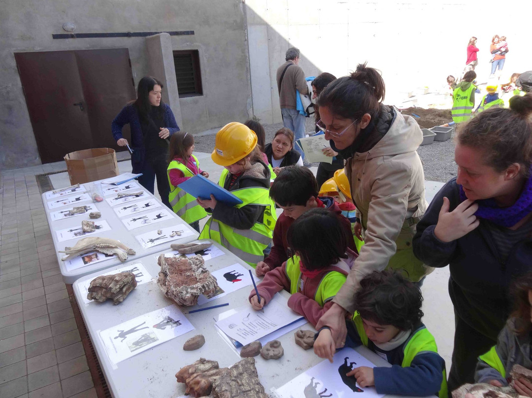 Centre de Restauració i Interpretació Paleontològica景点图片