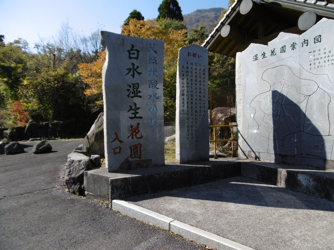 Shiramizu Kosen-由布市必去景点