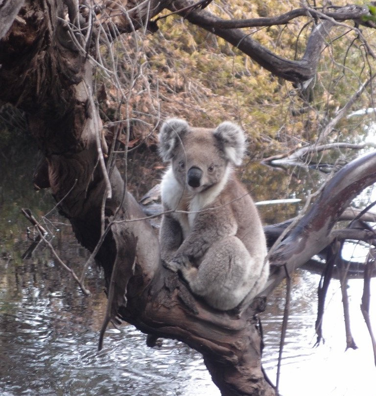 Kangaroo Island Wilderness Trail-袋鼠岛必去景点