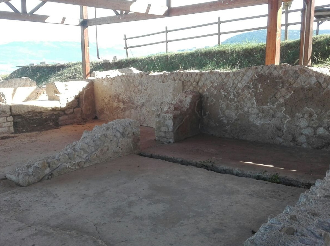 Sito Archeologico di Forcona景点图片