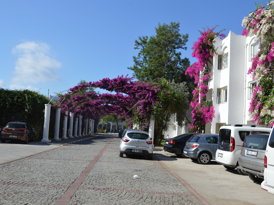 Kadıkale Resort Hotel主图