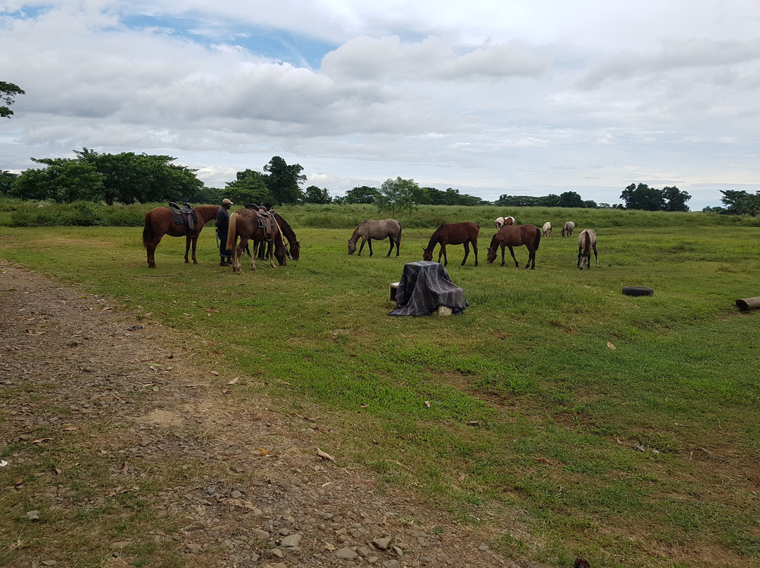 Aviva Farms-纳迪市必去景点