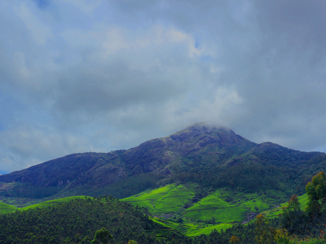 Chokramudi Peak-慕那尔必去景点