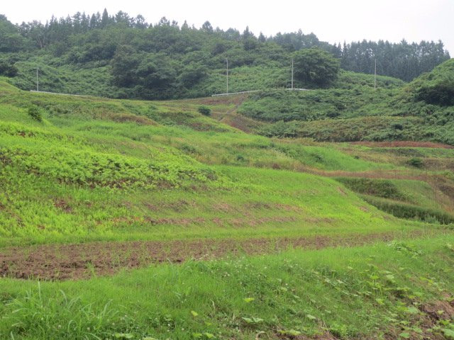 Shikamura Rice Terraces-大藏村必去景点