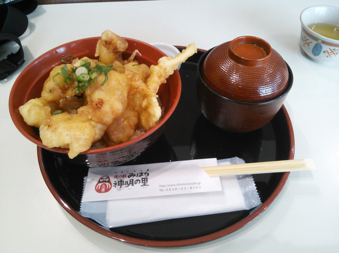 Michi no Eki Mihara Shimmei no Sato景点图片