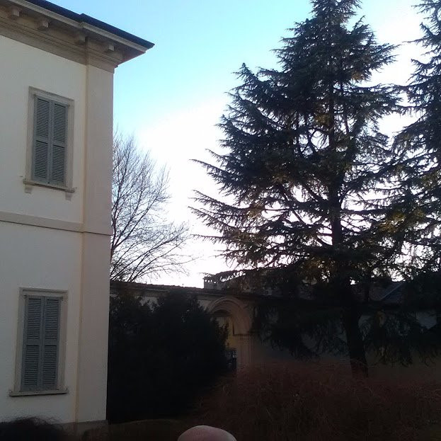 Villa Biancani Greppi景点图片