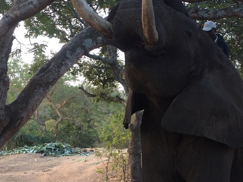 Regent Safaris-雾观必去景点