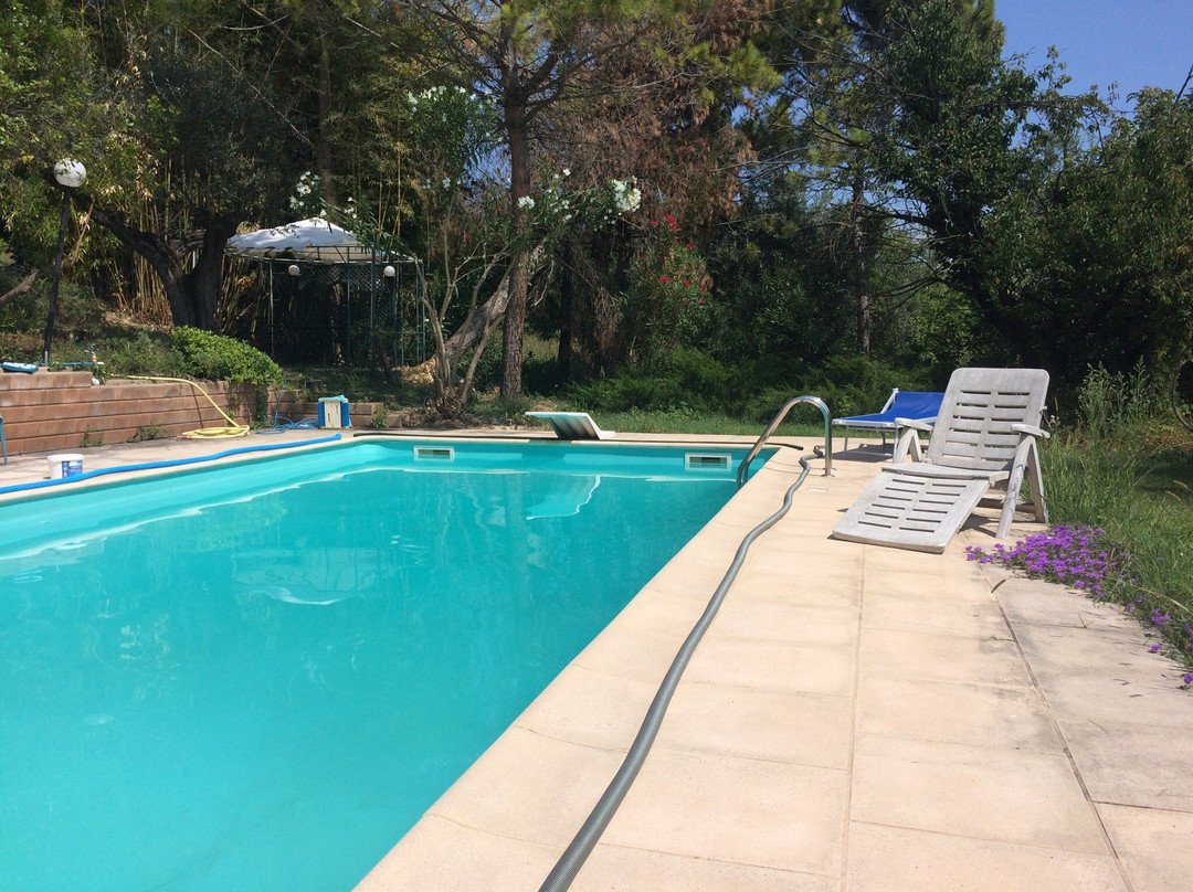 Casa Colle d'Olivo B&B主图
