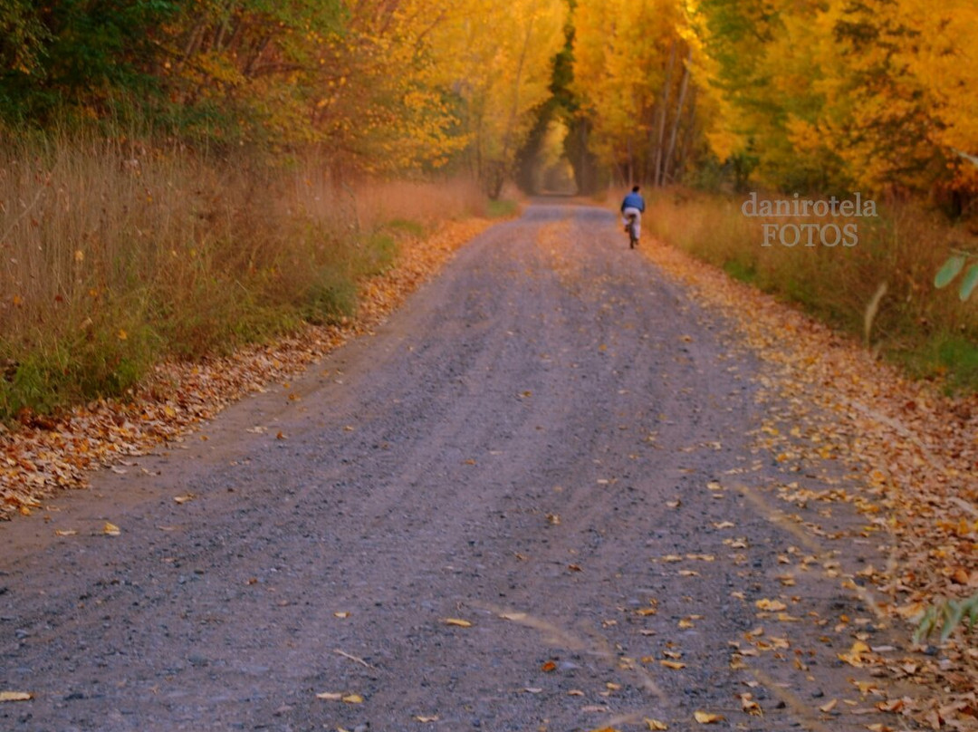 San Patricio del Chanar旅游攻略图片