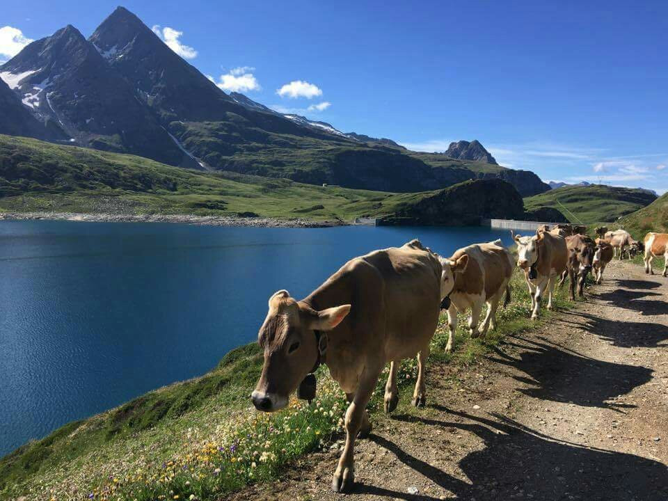 Rifugio Maria Luisa