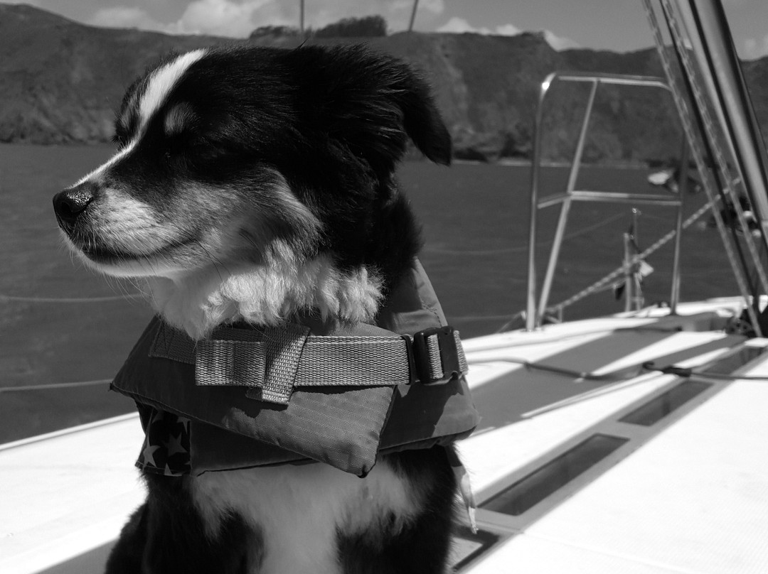 Xtreme Xcursions-旧金山必去景点