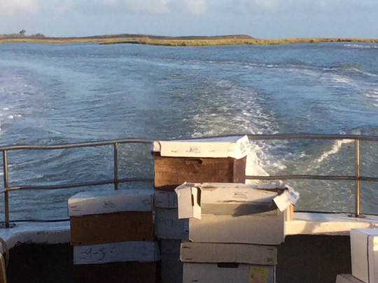 Smith Island Motel主图