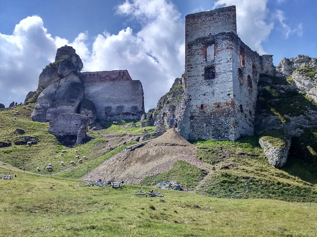 Zamek w Olsztynie景点图片