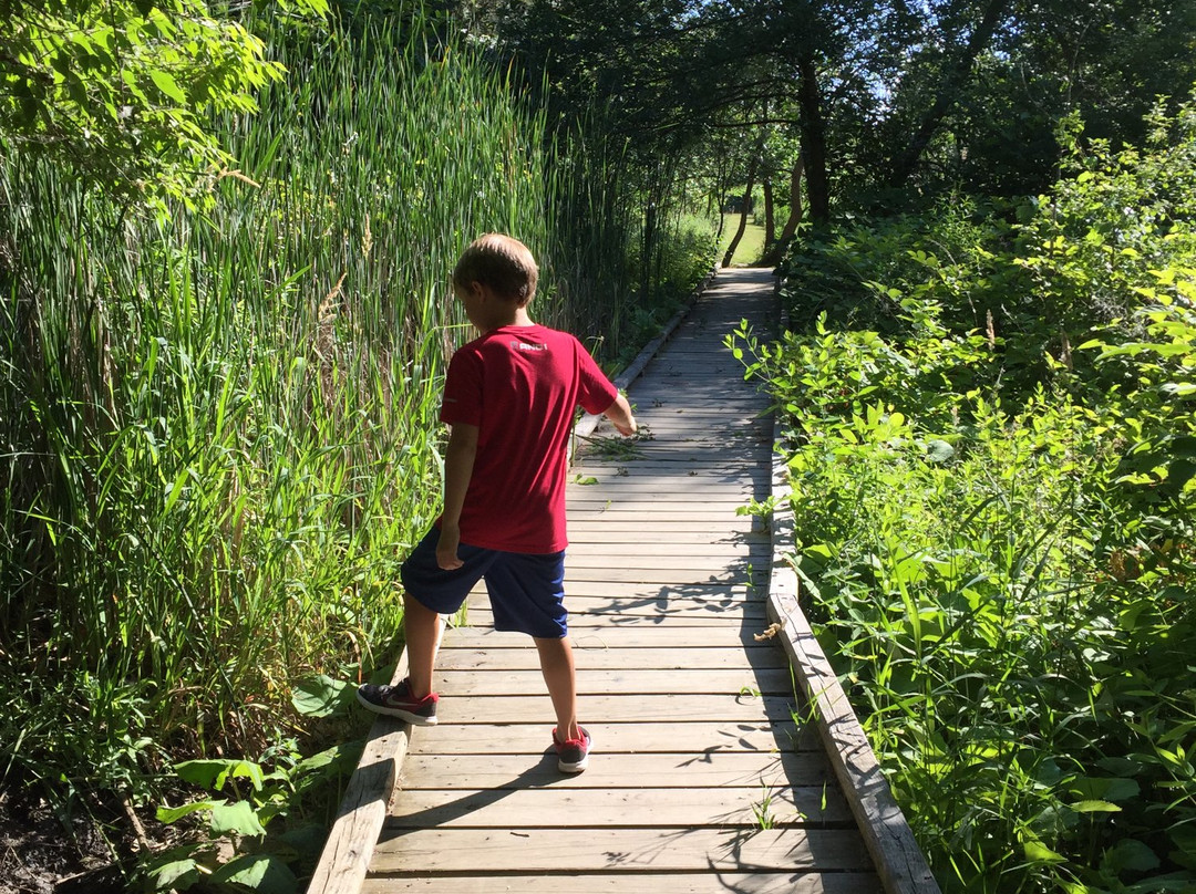 Cleveland Lakefront Nature Preserve-克利夫兰必去景点