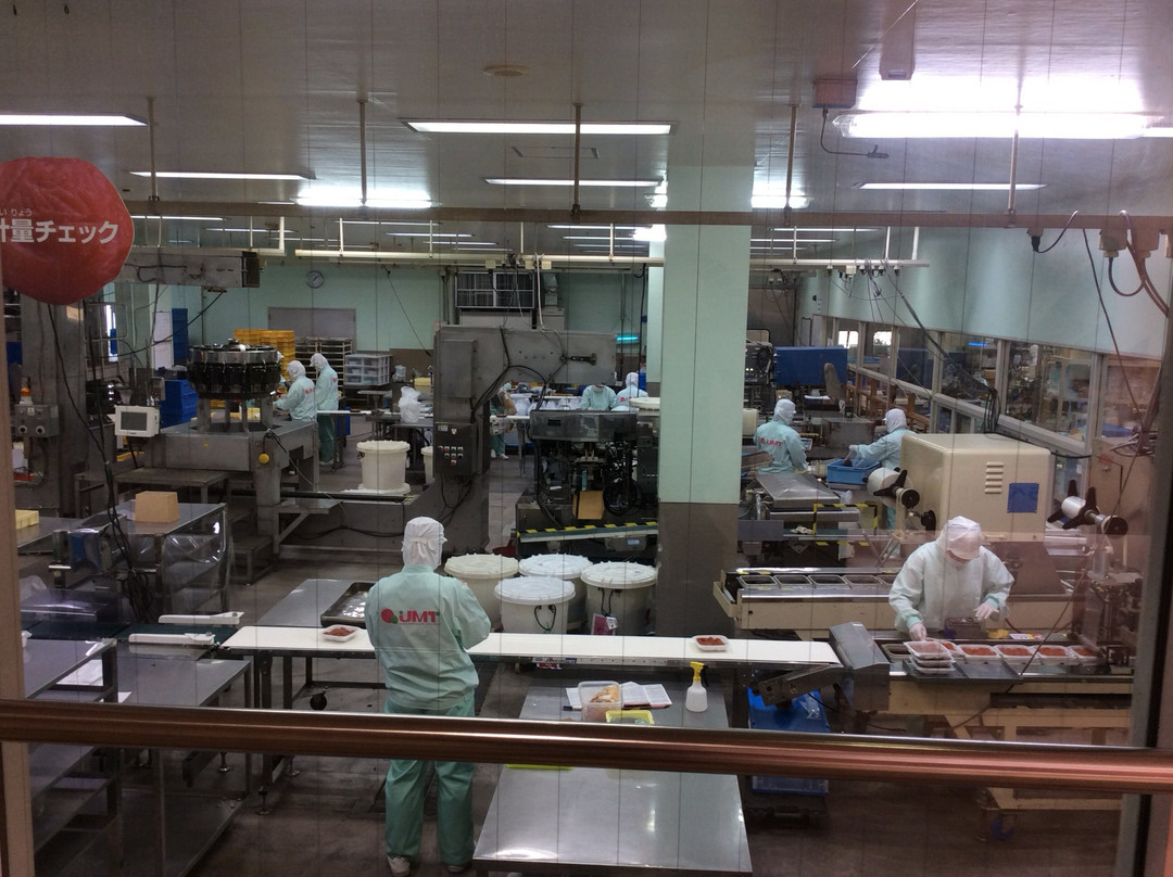 Kishu Umeboshi-kan-南部町必去景点