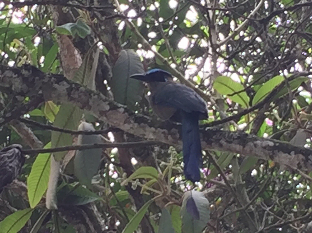 Llanogrande Colonial Hotel Boutique主图