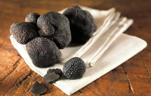 Premium Truffles-Motovun必去景点