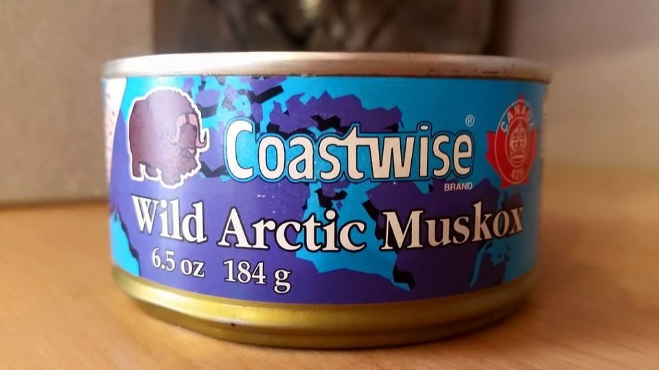 NWT Dempster Highway Visitor Centre-道森市必去景点