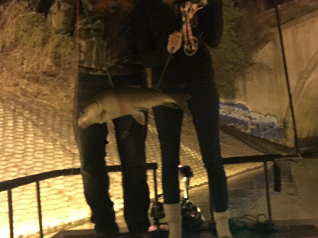 Nocturnal Addiction Bowfishing景点图片