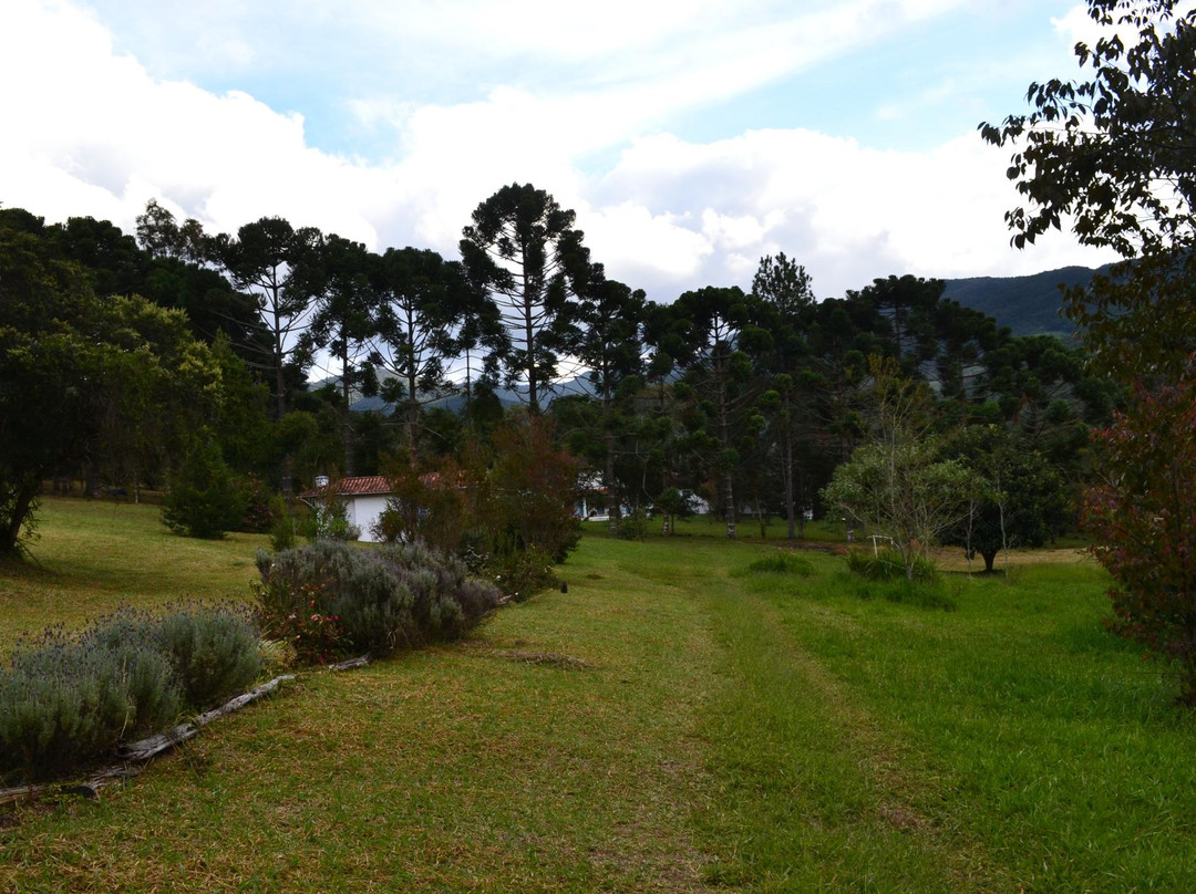 Pousada Matutu主图