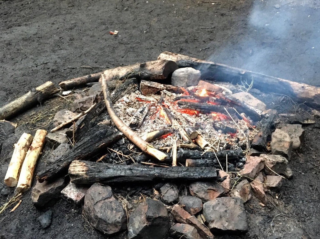 Scout Adventures Hawkhirst-Kielder必去景点
