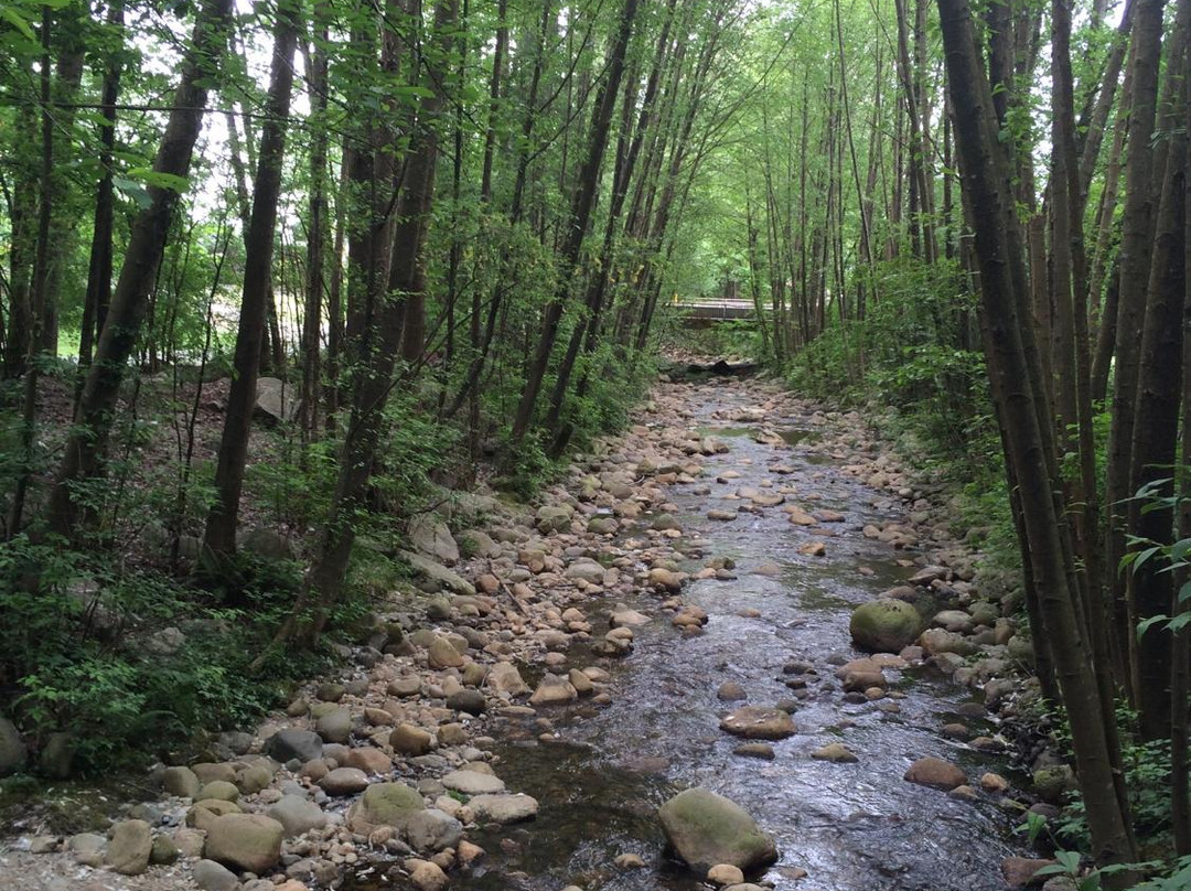 Mosquito Creek Hiking Trail-北温哥华必去景点