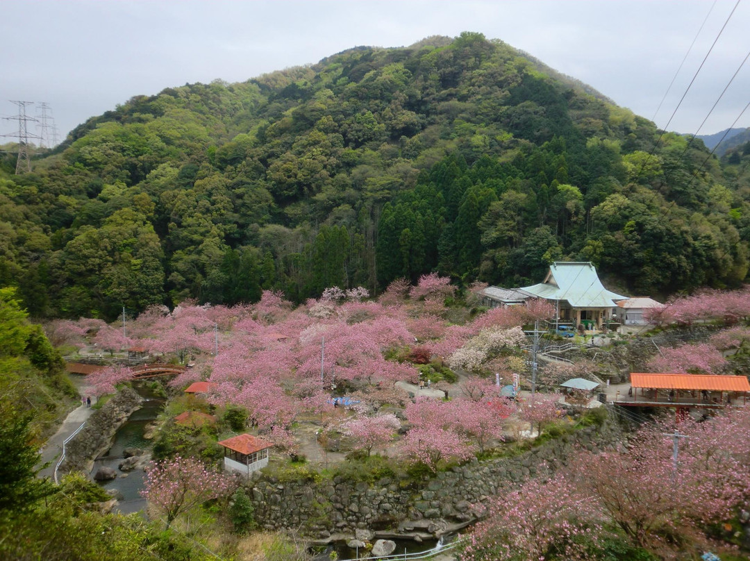 Isshinji Temple-大分市必去景点