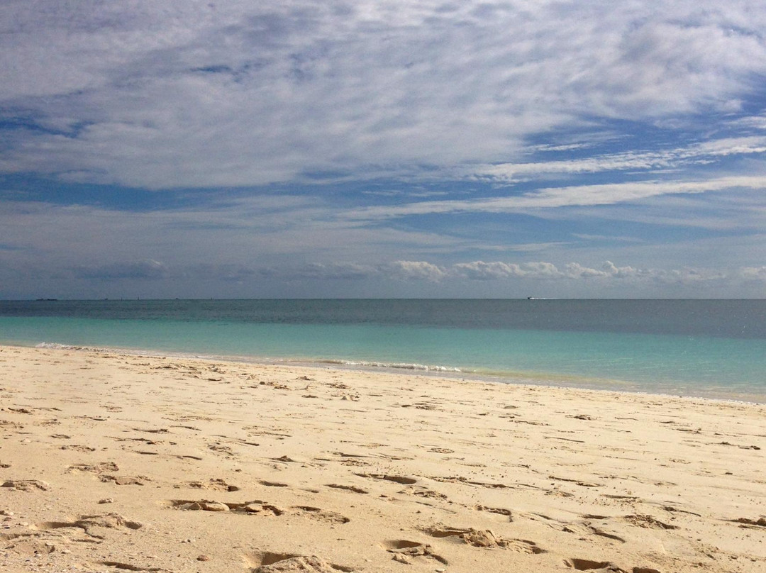 Silver Point Reef-弗里波特必去景点