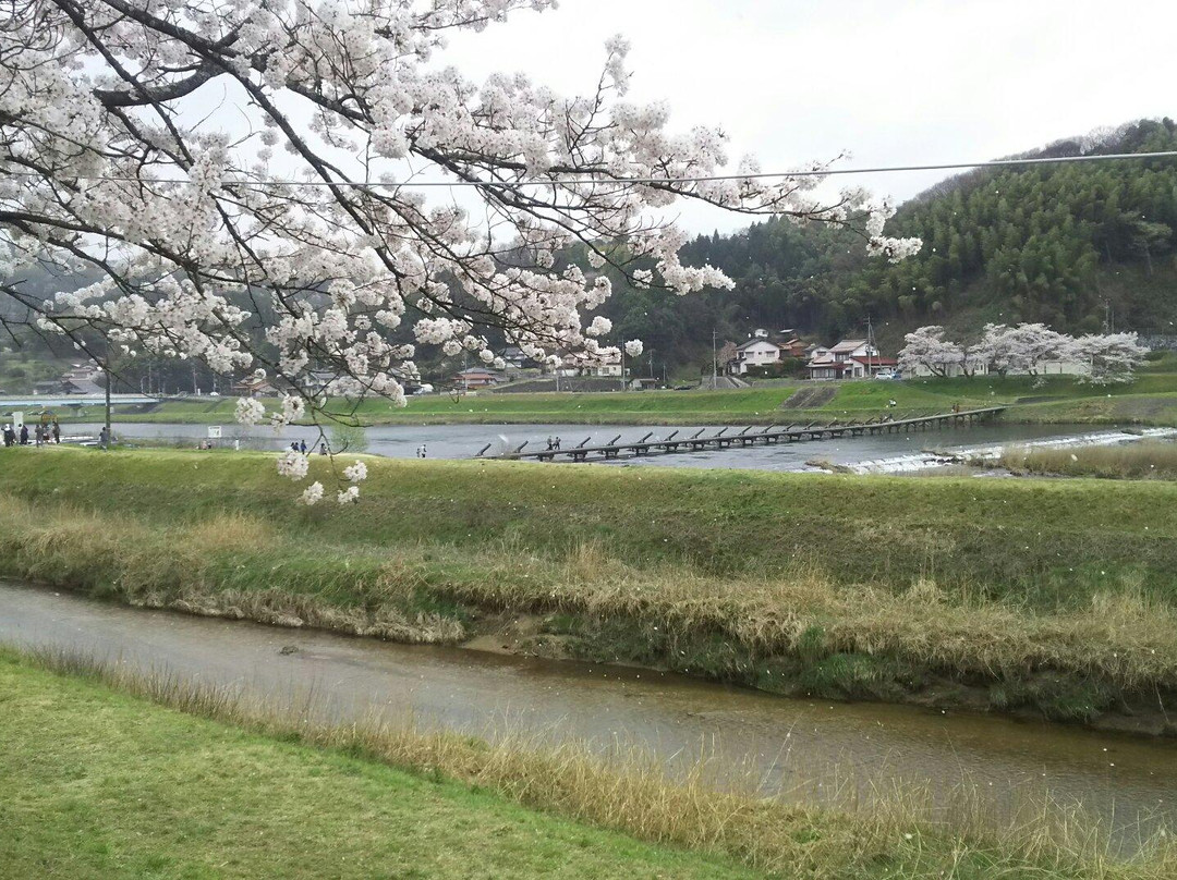 Hikawateibou Cherryblossom Street-云南市必去景点
