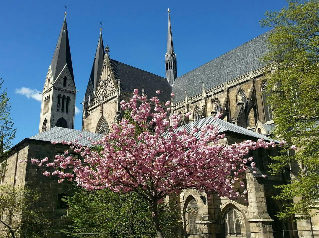 Halberstadt旅游攻略图片