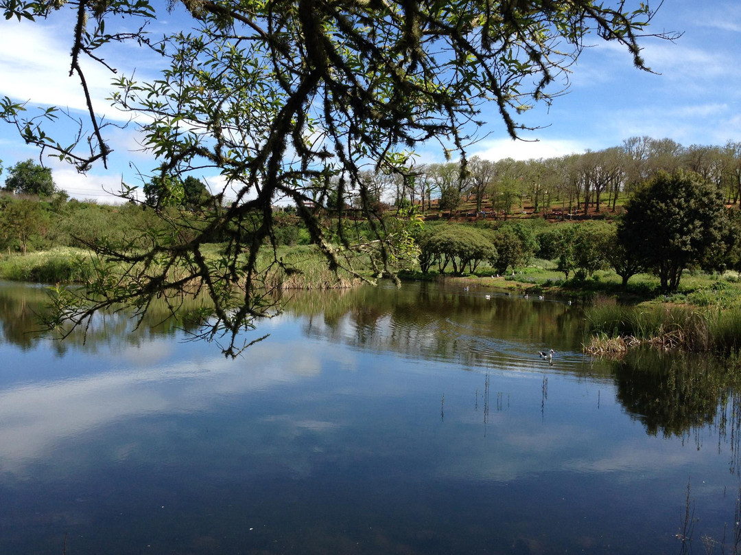 Area Recreativa de La Laguna景点图片