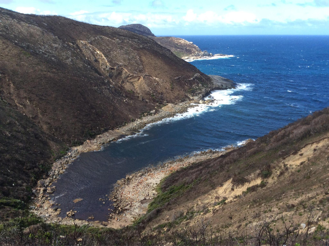 Jimmy Newells Harbour-奥尔巴尼必去景点