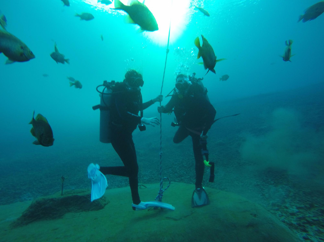 Valentine scuba divers景点图片