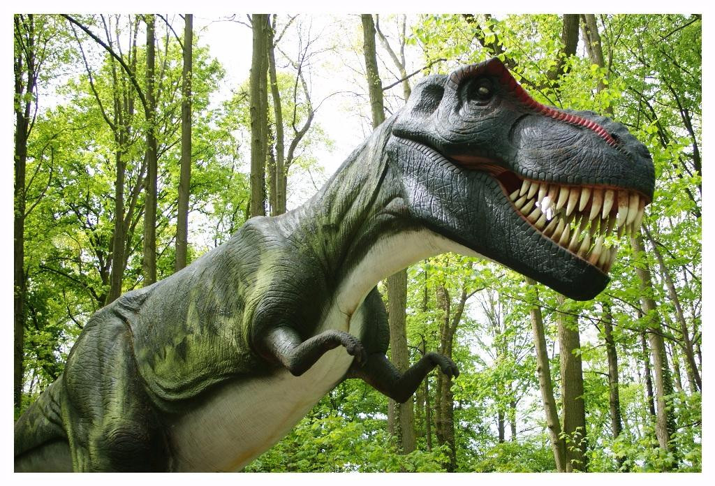 Dino Park景点图片