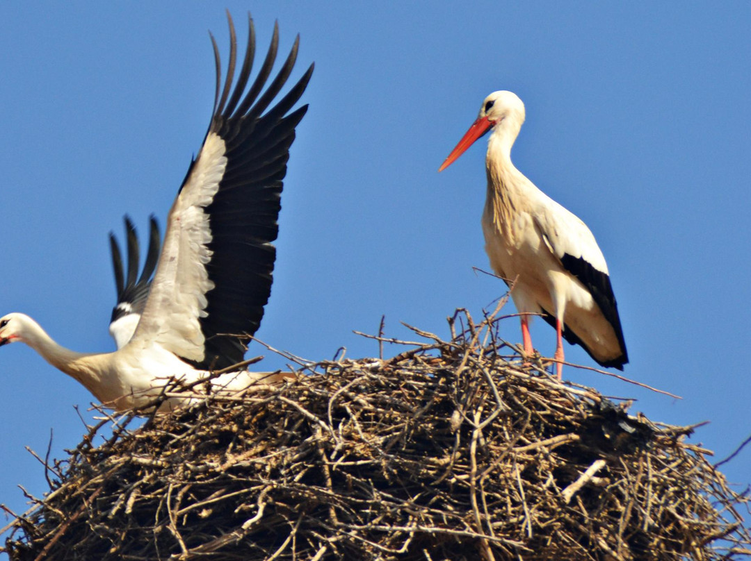 Estany d'Ivars-Ivars d'Urgell必去景点