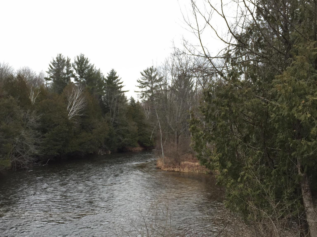 Deerfield Nature Park景点图片