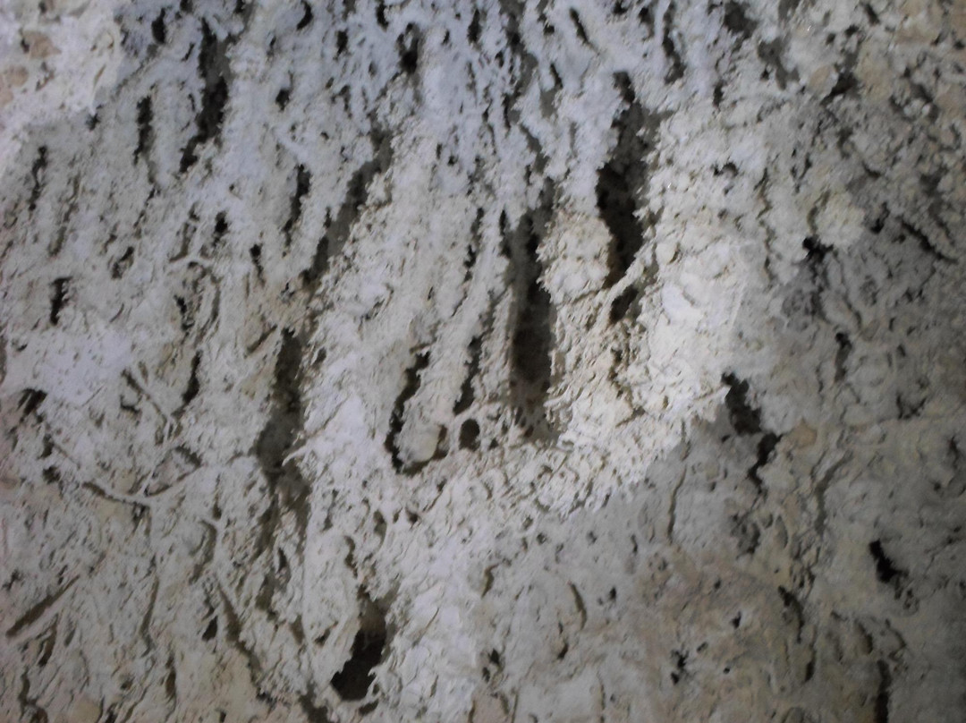 Gruta De Las Galaxias景点图片