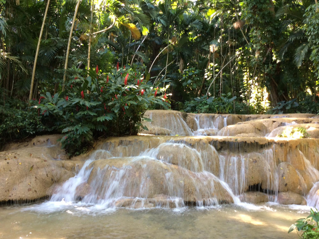 The Enchanted Gardens, Bird Aviary, and Waterfall-奥乔里奥斯必去景点