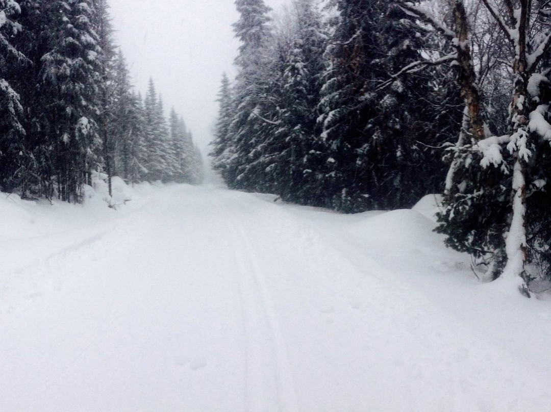 Sentier des Caps-Saint-Tite-des-Caps必去景点