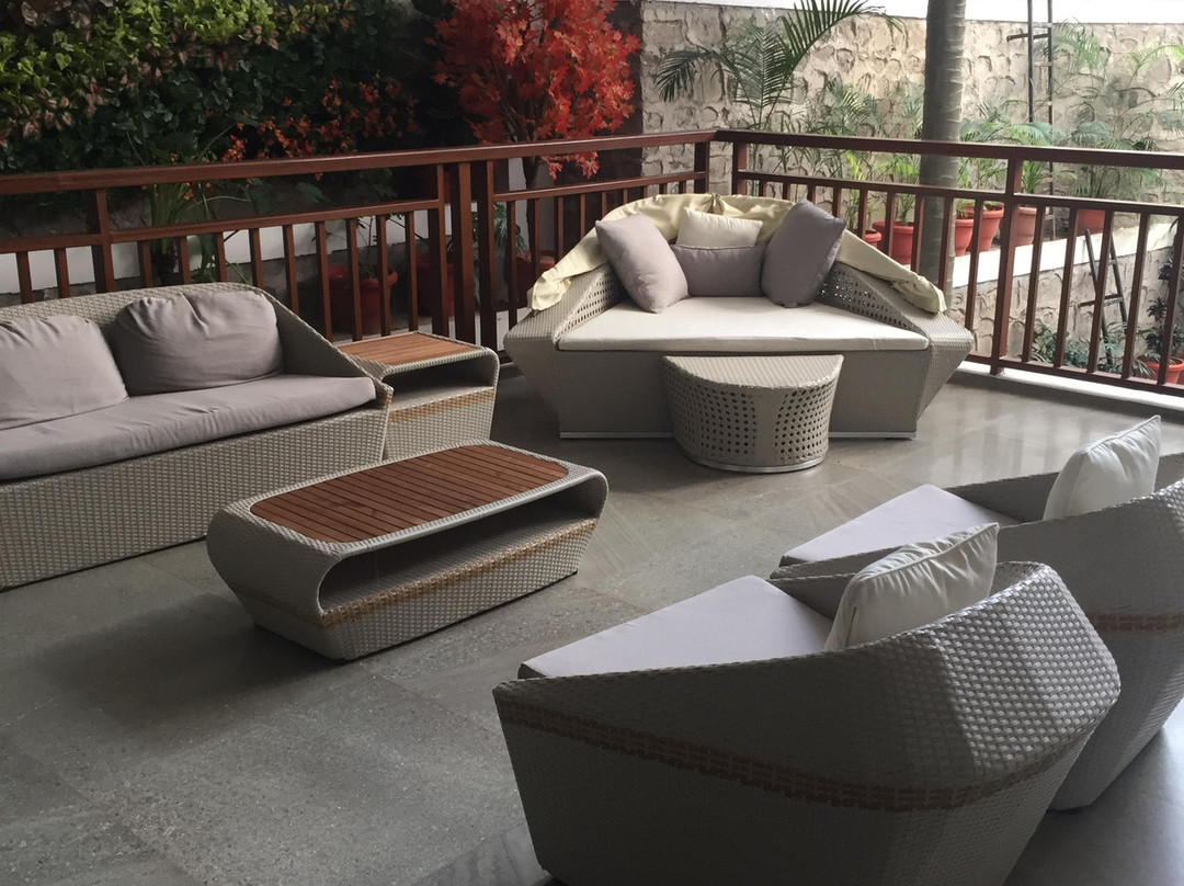 The Terrace