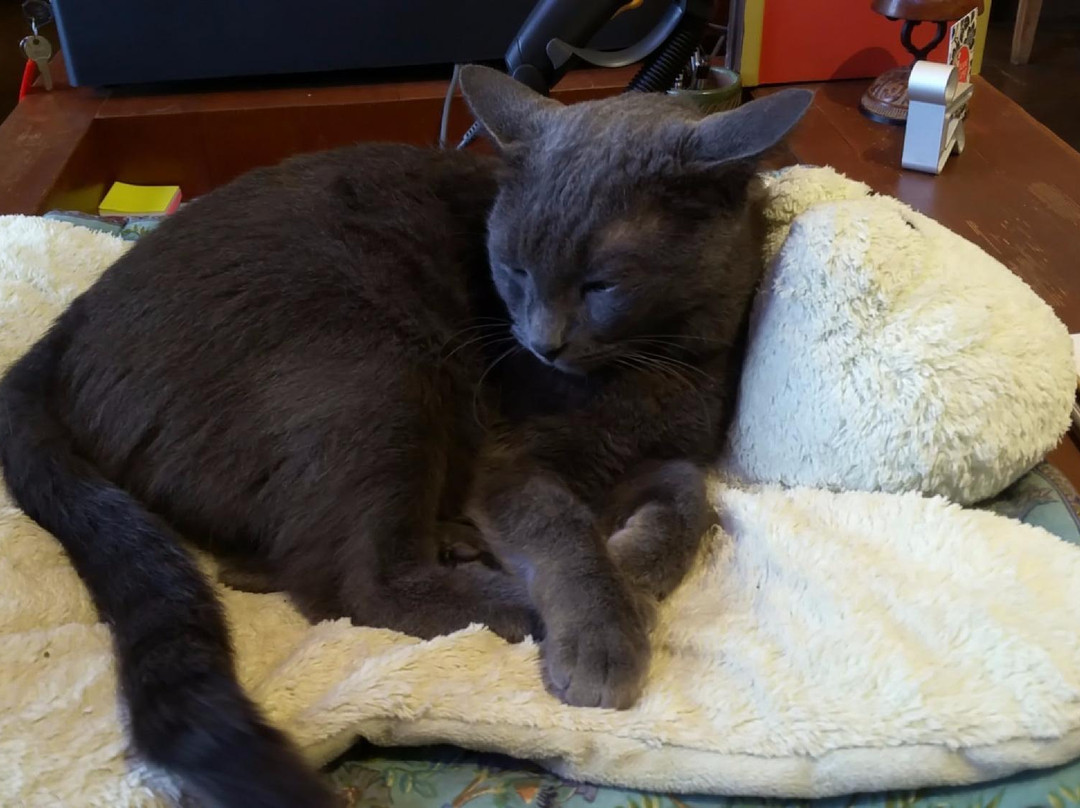 Kong Lung Trading-基拉韦厄必去景点