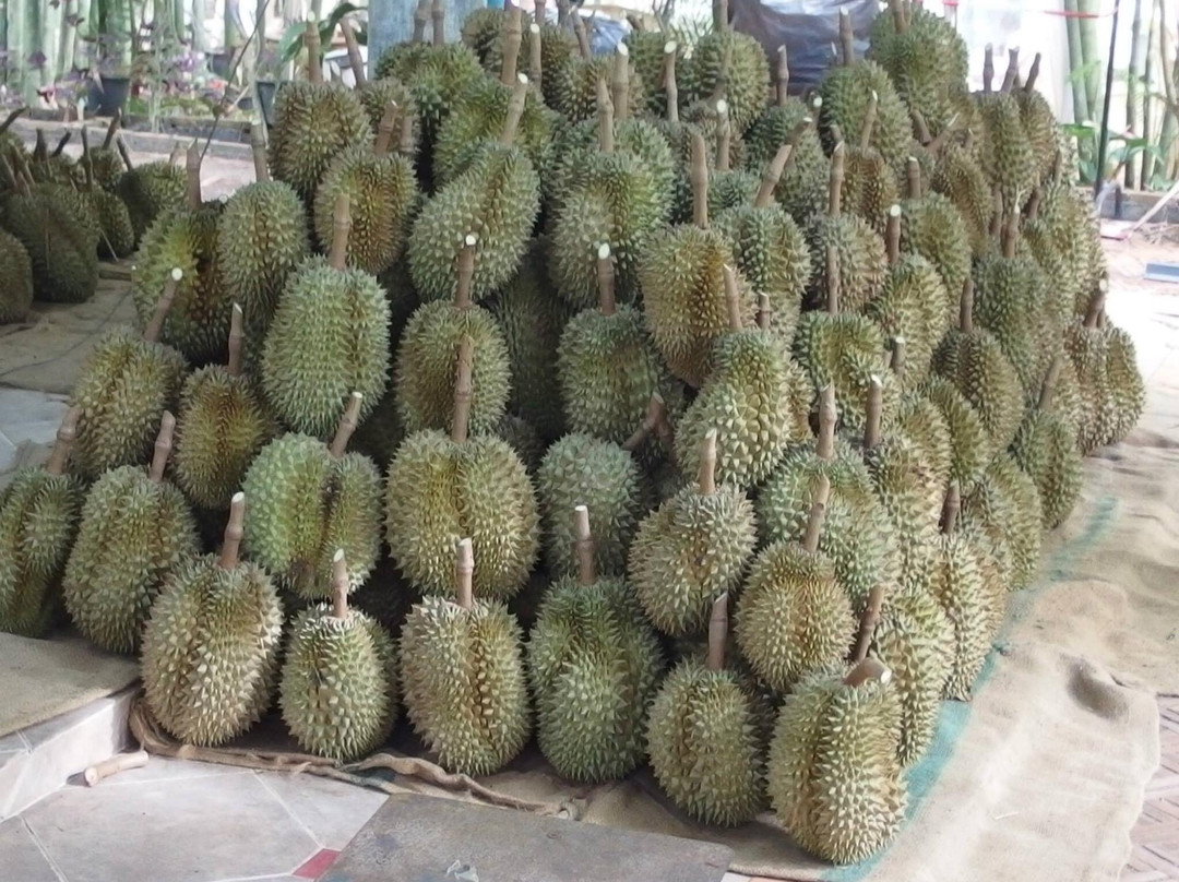 Suan Paiboon-罗勇必去景点