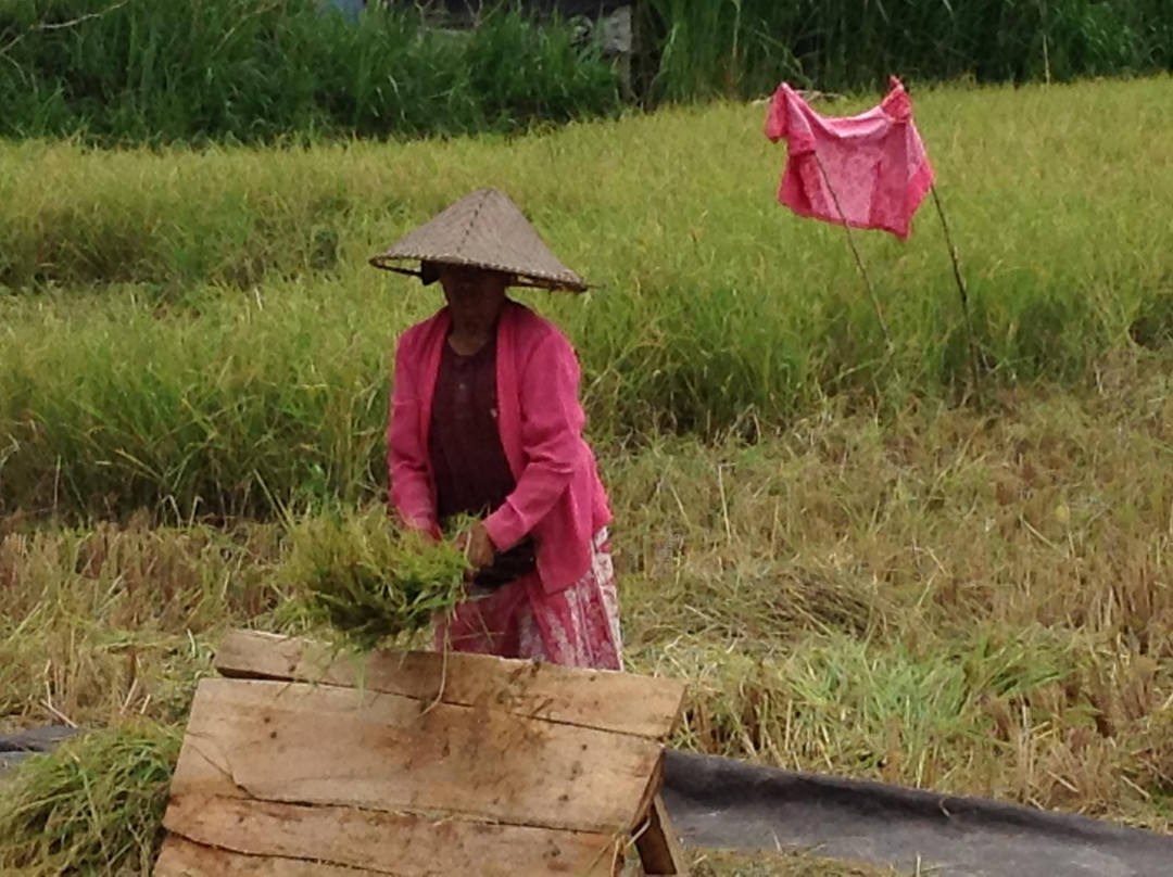 Herb Walk-邦利必去景点