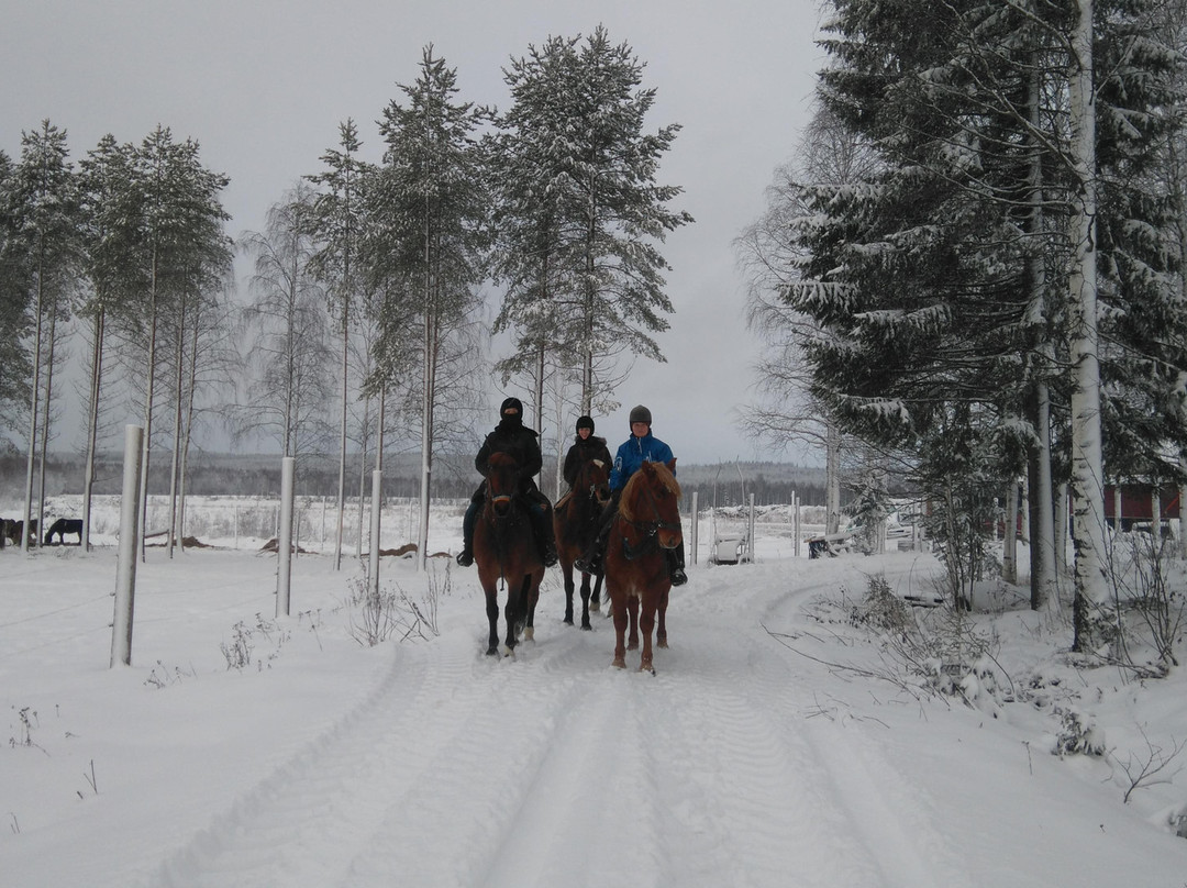 Eräratsut-罗瓦涅米必去景点