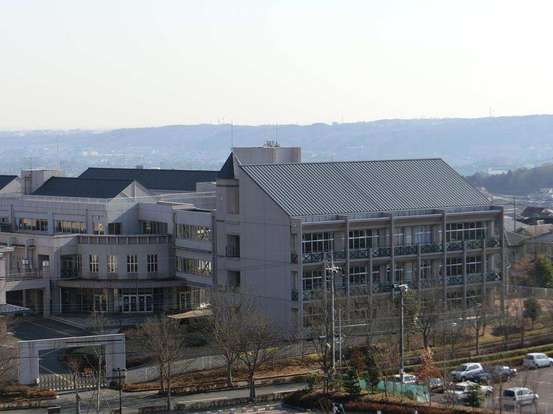 Mt. Asahi View Park-饭能市必去景点