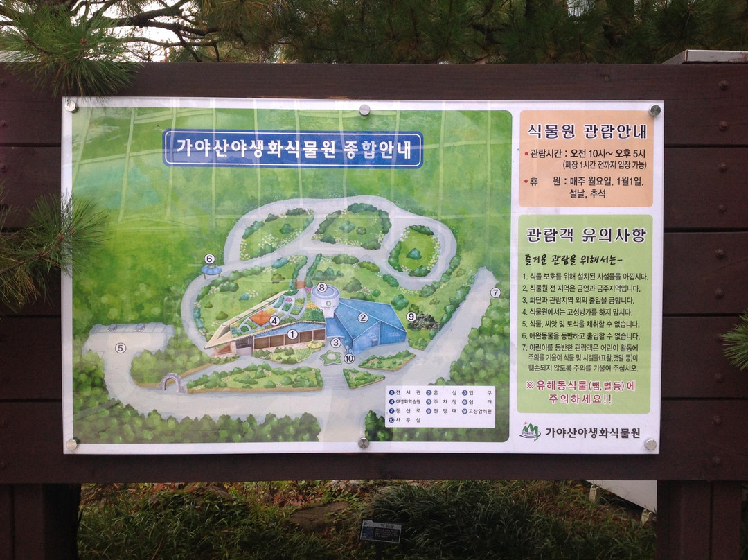 Gayasan Wildflower Botanical Garden-星州郡必去景点