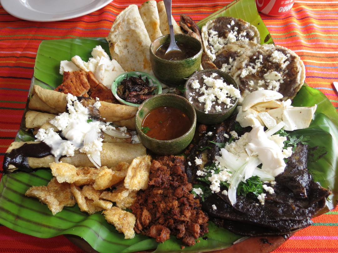 瓦哈卡餐馆和美食-El Escapulario