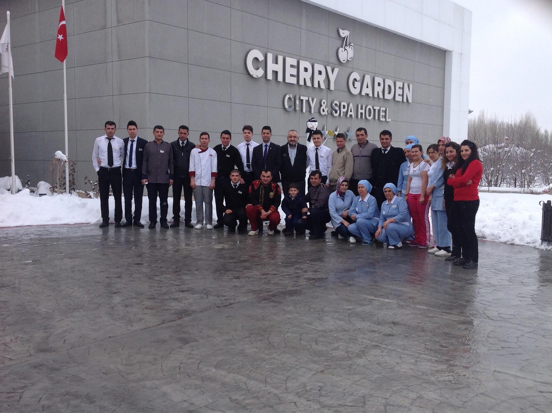 Cherry Garden City & Spa Hotel主图